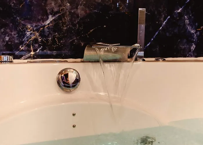 La Romantique Des Chatons 미미장플라즈